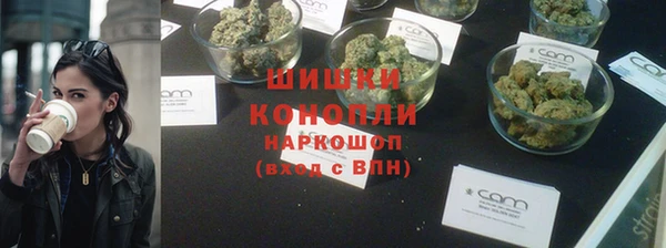 шишки Новокубанск