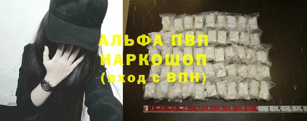 шишки Новокубанск