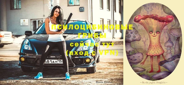 скорость Нязепетровск
