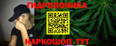 spice Волгодонск
