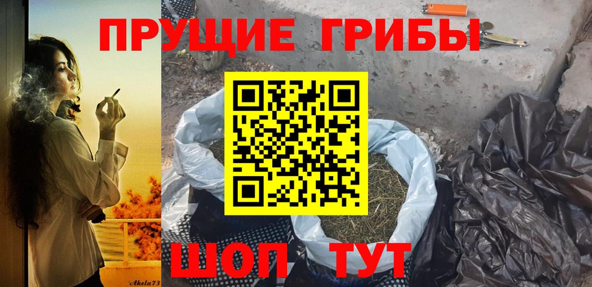 Псилоцибиновые грибы Psilocybine cubensis  Галлюциногенные грибы GOLDEN TEACHER  Вход с VPN  Удомля 